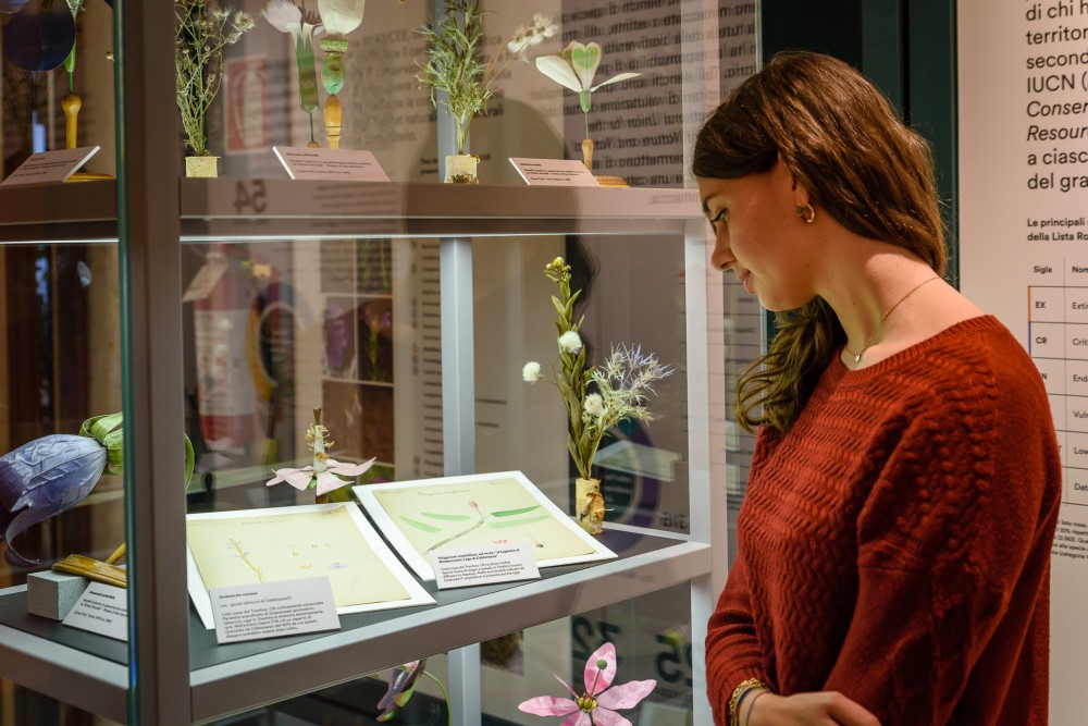 civuoleunfiore Brendel 5