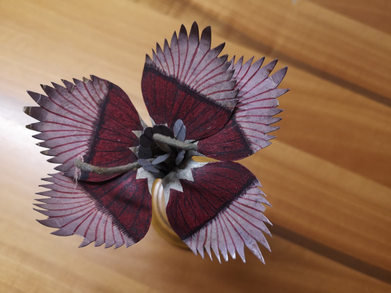 civuoleunfiore Brendel 6