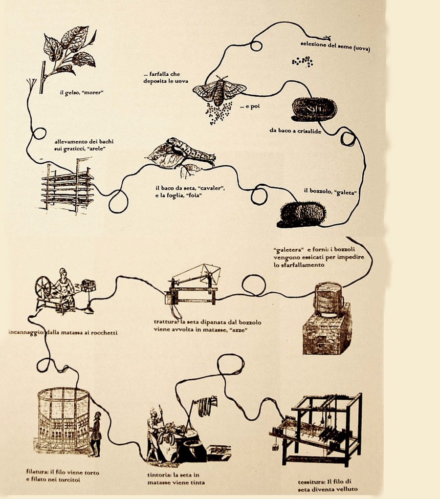 Pannello 2 - foto 2 | Ciclo della seta. Immagine 'Dal gelso al velluto' a cura di Erica Mondini e Daniela Dapor