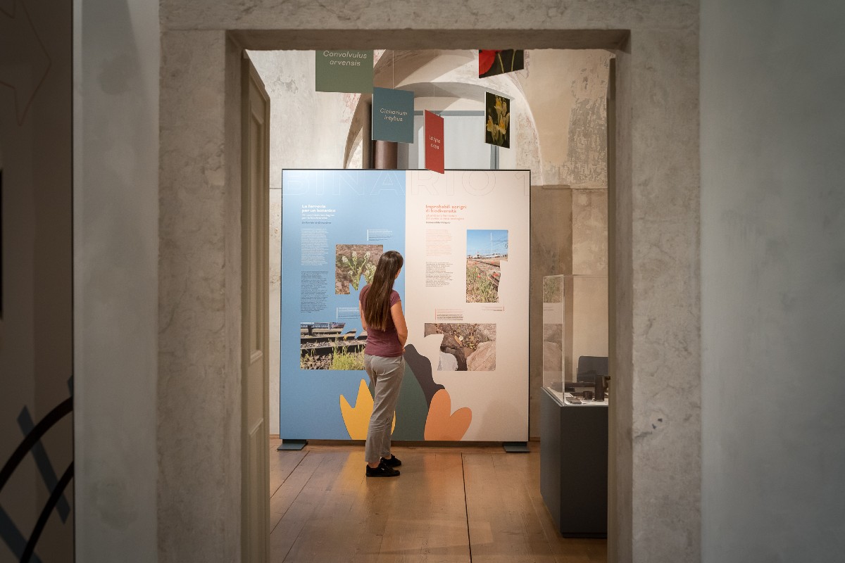 Binario 1_sale espositive