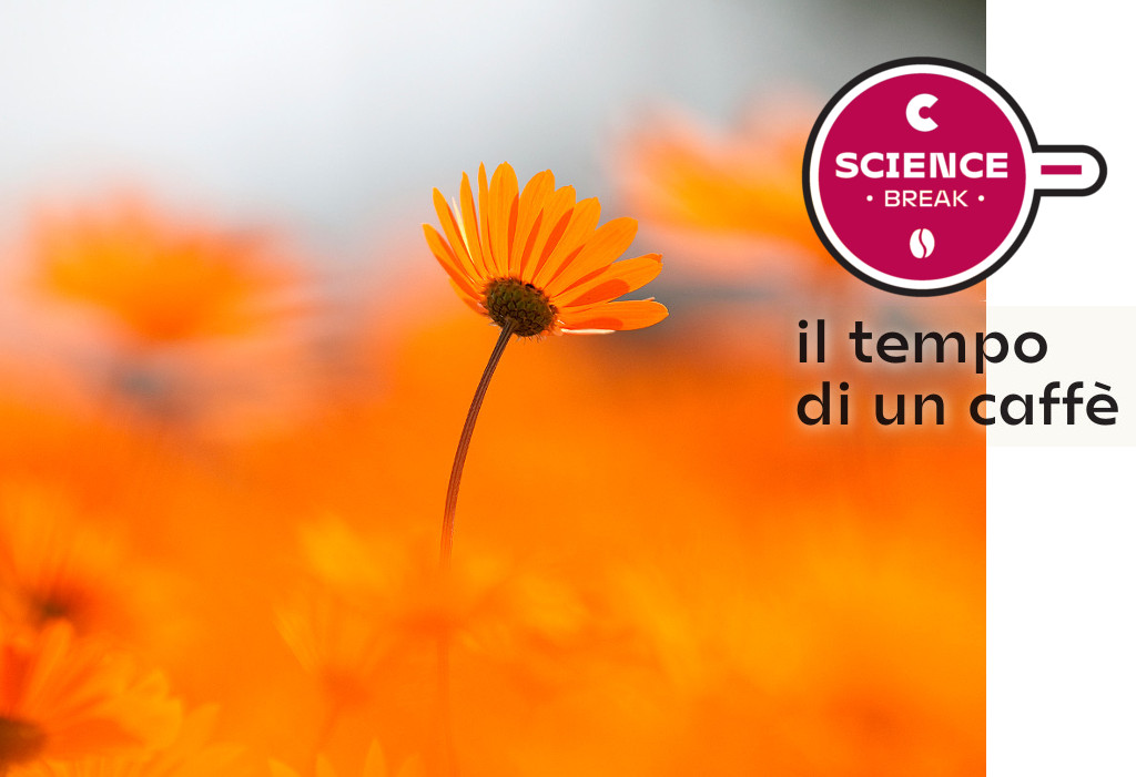 Obiettivo Natura, il connubio perfetto tra scienza ed arte