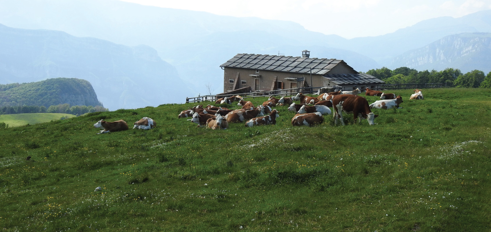 Pannello 3 - Foto 1: Malga Lavacchione