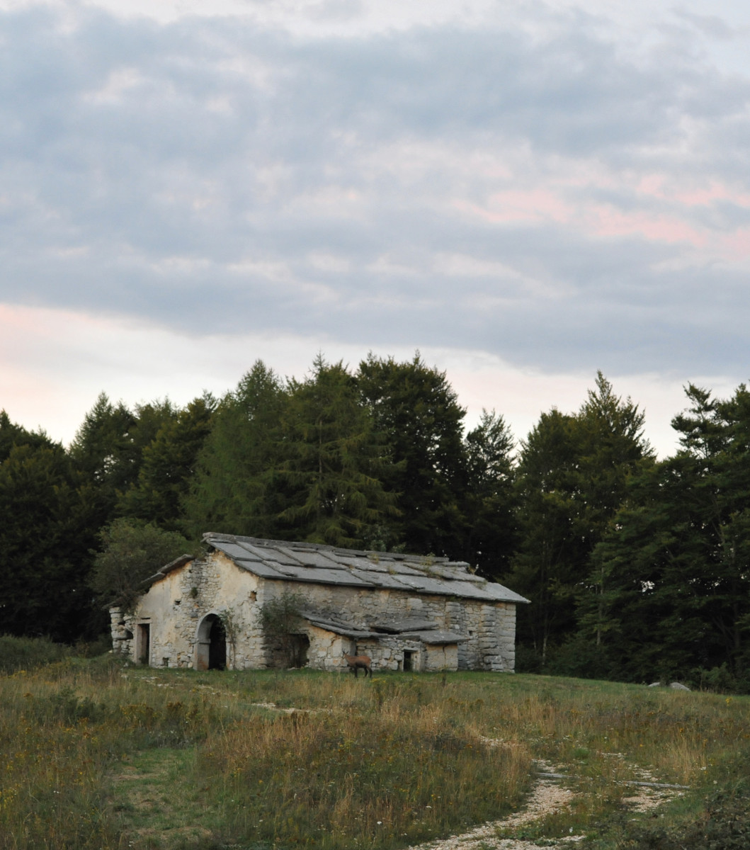Pannello 3 - Foto 3: Malga Foppiano