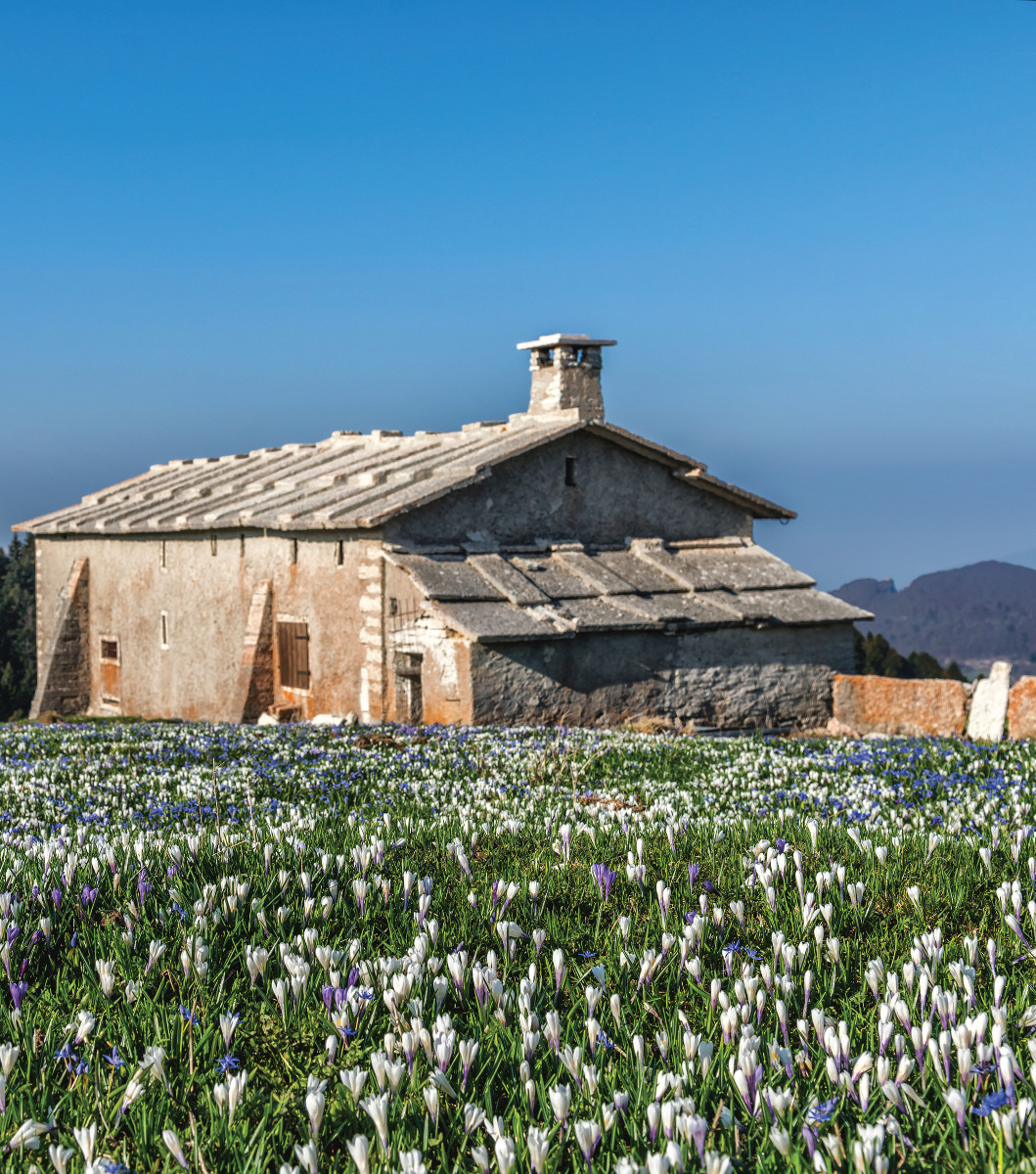 Pannello 3 - Foto 4: Malga Revoltel