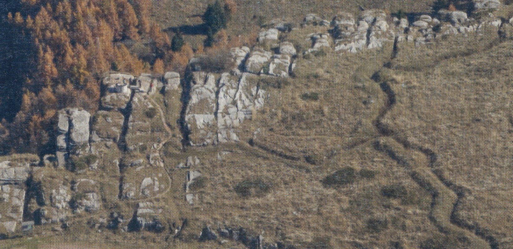 Pannello 8 - Foto 1: Esempio di trincea in Lessinia