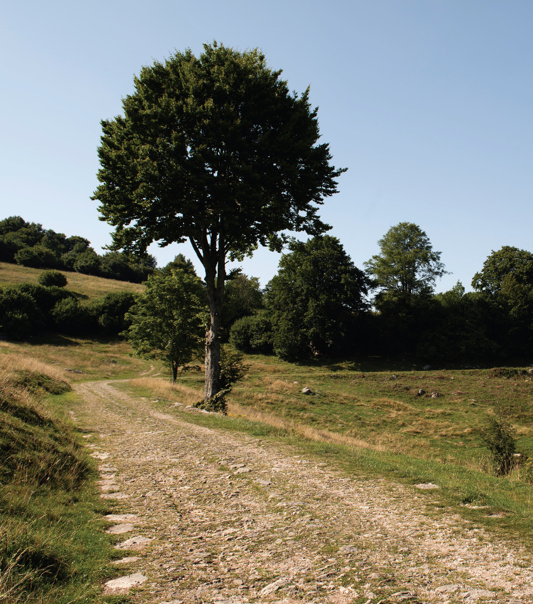 Pannello 8 - Foto 2: Strada militare