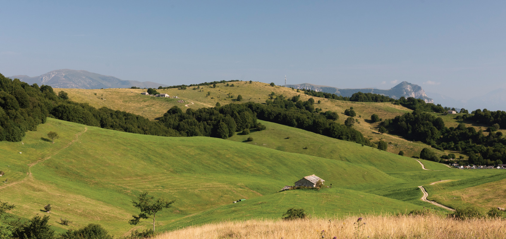 Pannello 10 - Foto 1: Prati e pascoli in Lessinia
