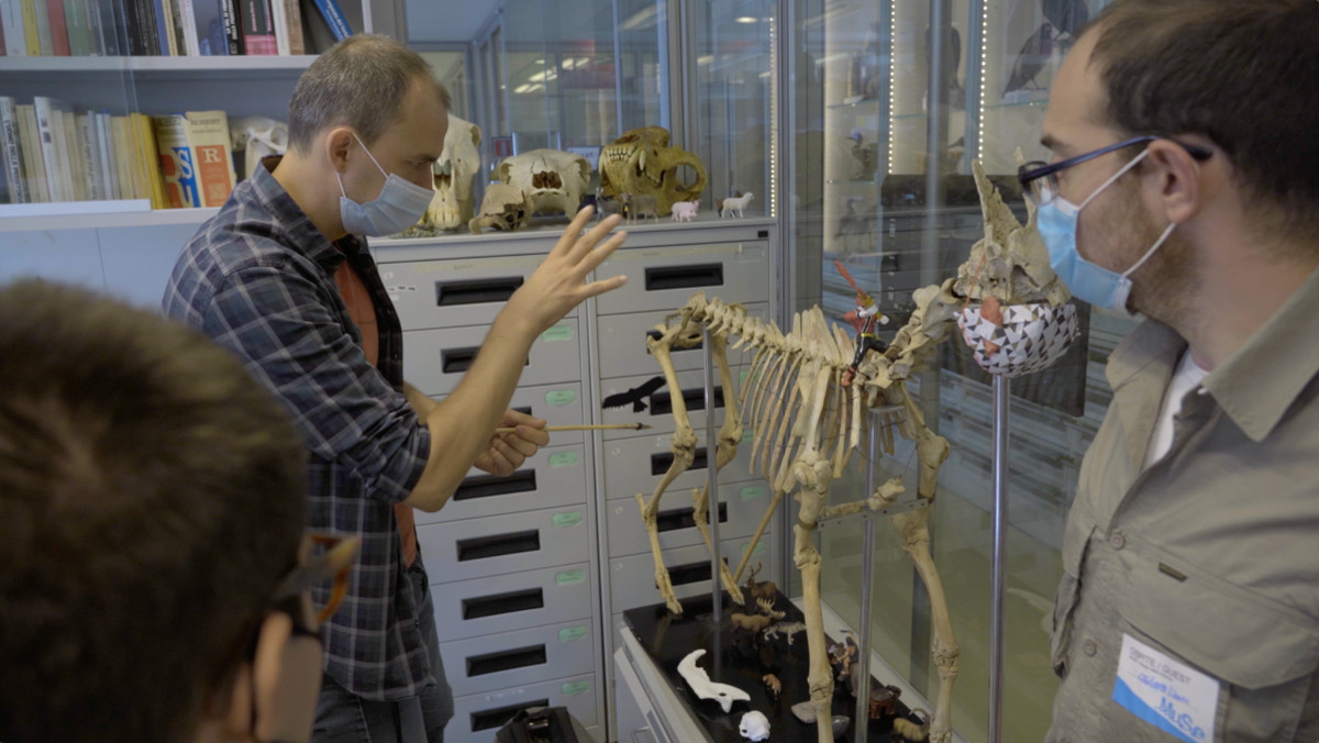 La frequentazione dellorso