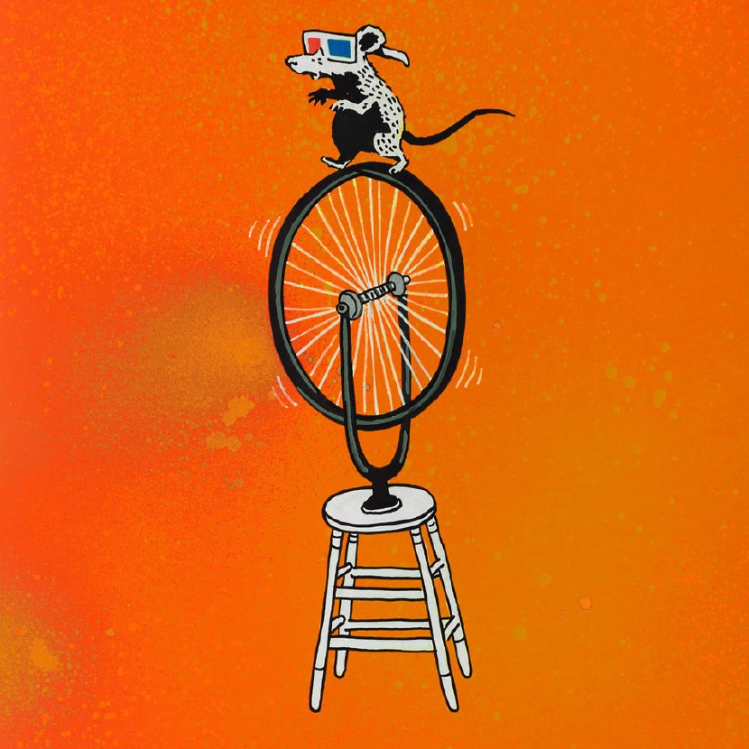 Locandina I gatti lo sanno