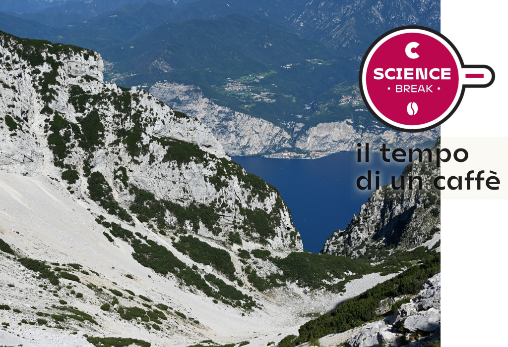 Ascoltare le cicale per comprendere il cambiamento climatico