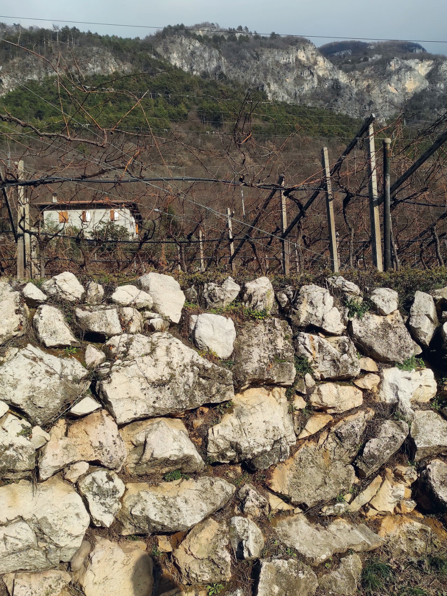 Pannello 1 foto 2 | Muretto a secco