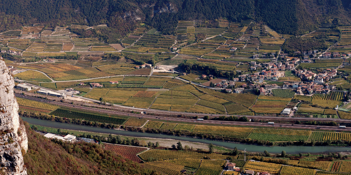 Pannello 4 foto 1 | Panorama dei vigneti in autunno