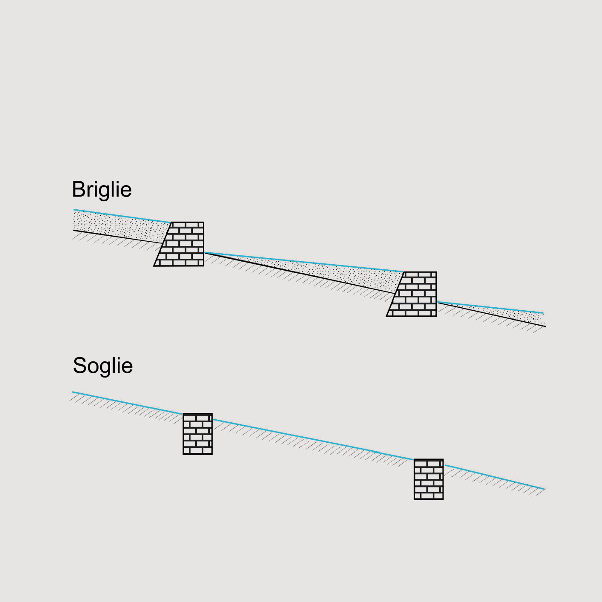 Pannello 7 foto 2 | Immagine rappresentativa che mostra briglie e soglie