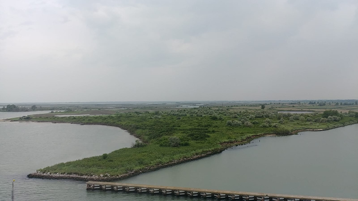 Science Break - Laguna di Venezia