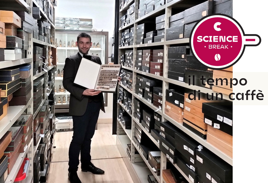 Nuove scoperte nelle collezioni zoologiche