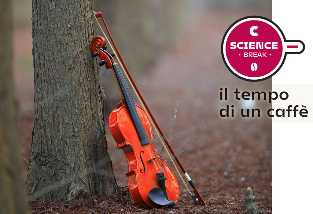 L'Avez del Prinzep riprende vita