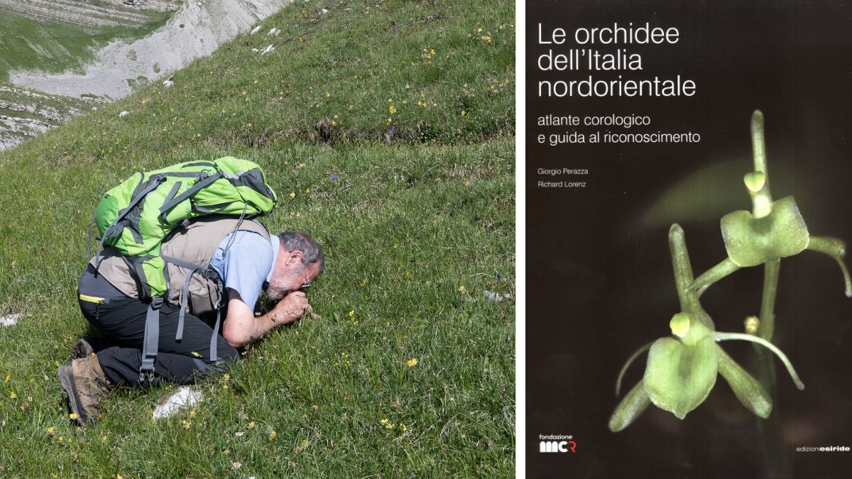 Giorgio Perazza e il volume