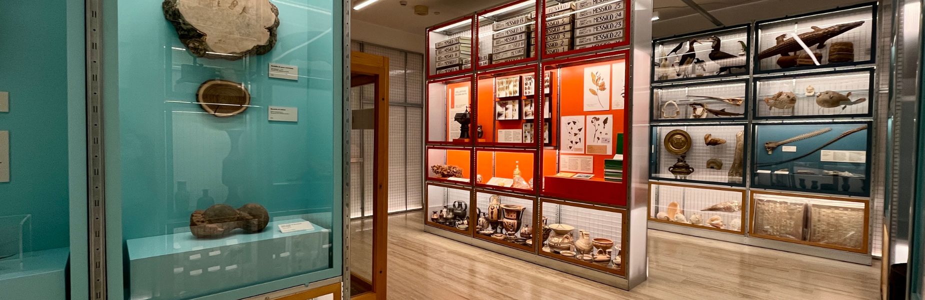 sala dal mondo al museo