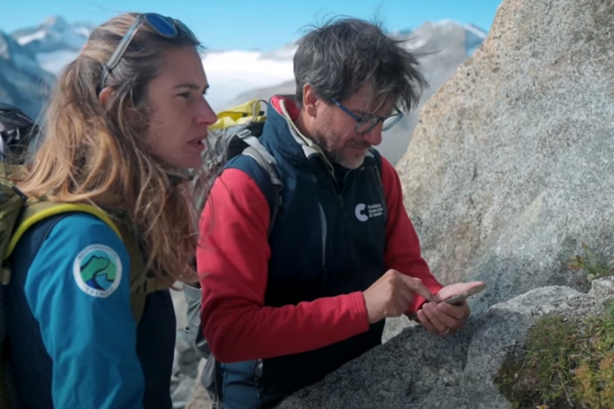 Monitoraggi botanici