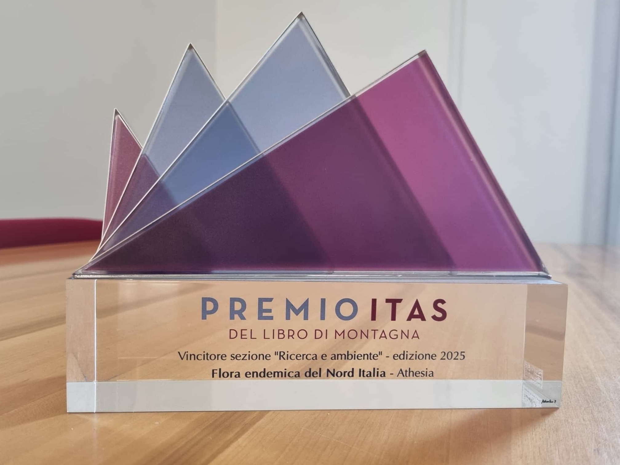 premio itas