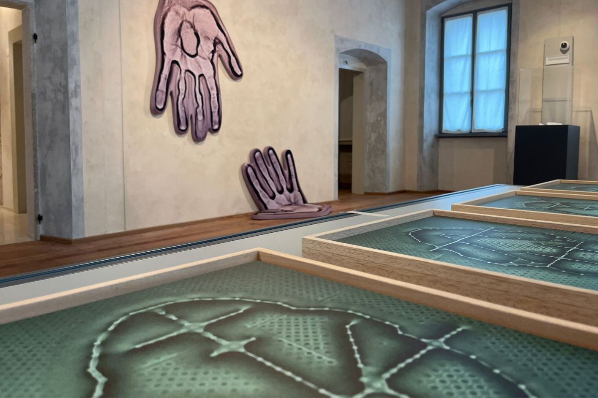 Naturalia Artificialia