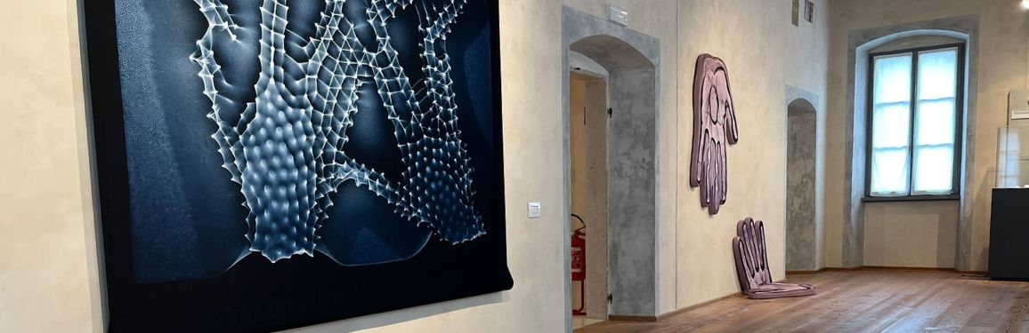 foto naturalia artificialia