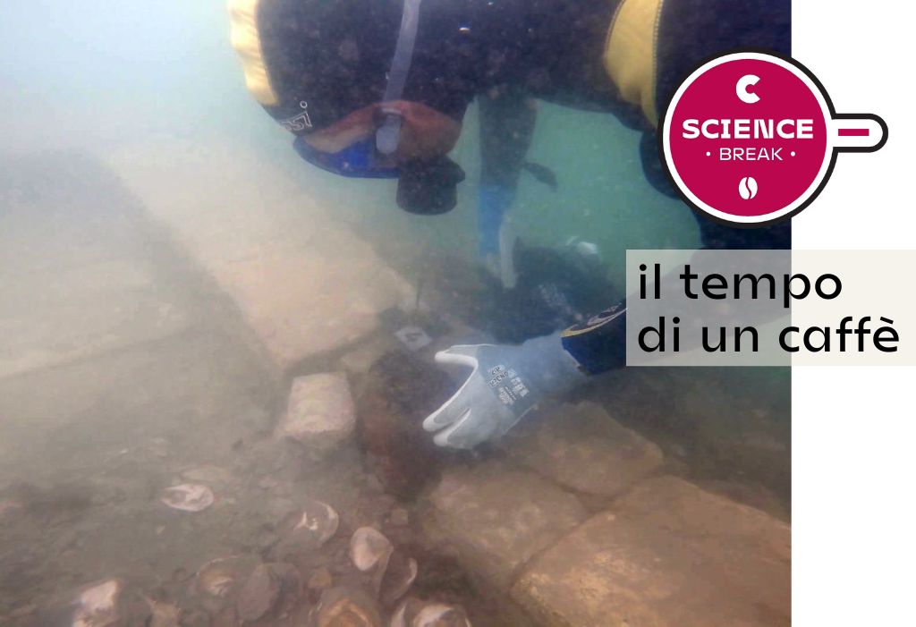 Lio Piccolo - dendrocronologia - foto Museo di Storia Naturale Giancarlo Ligabue