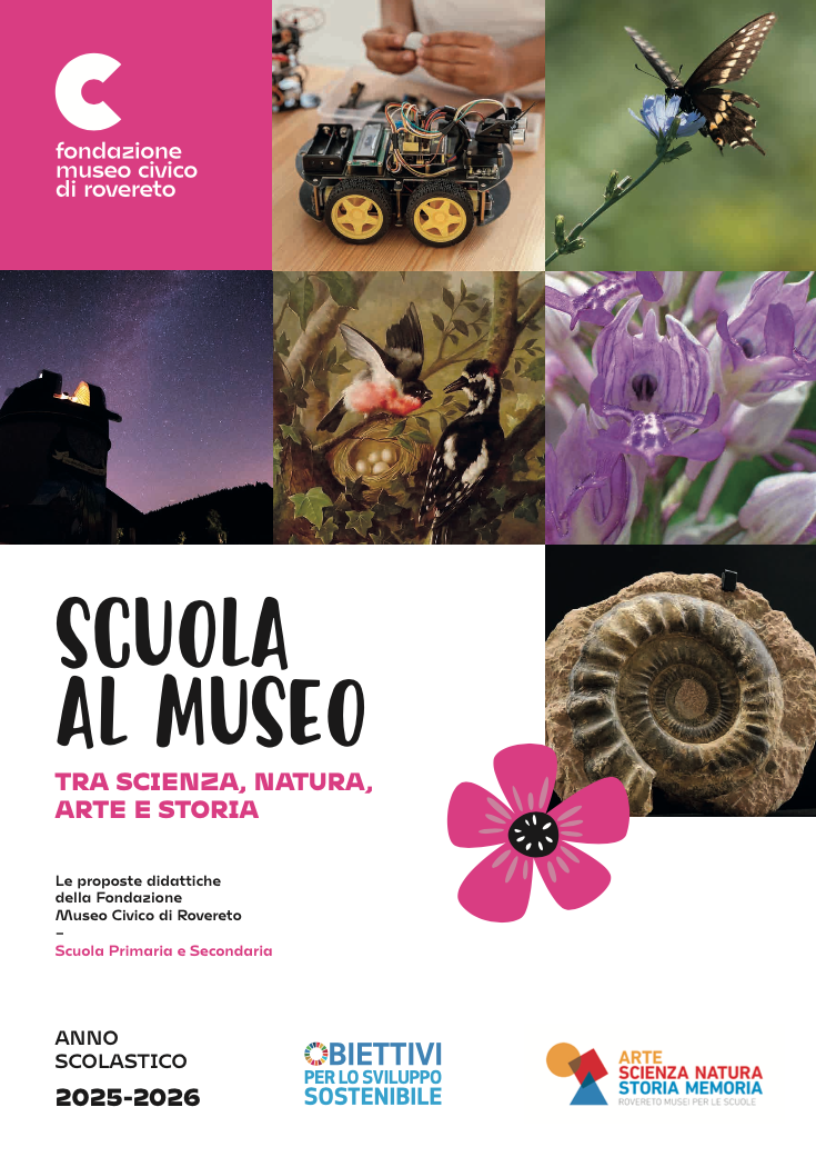 copertina scuola al museo