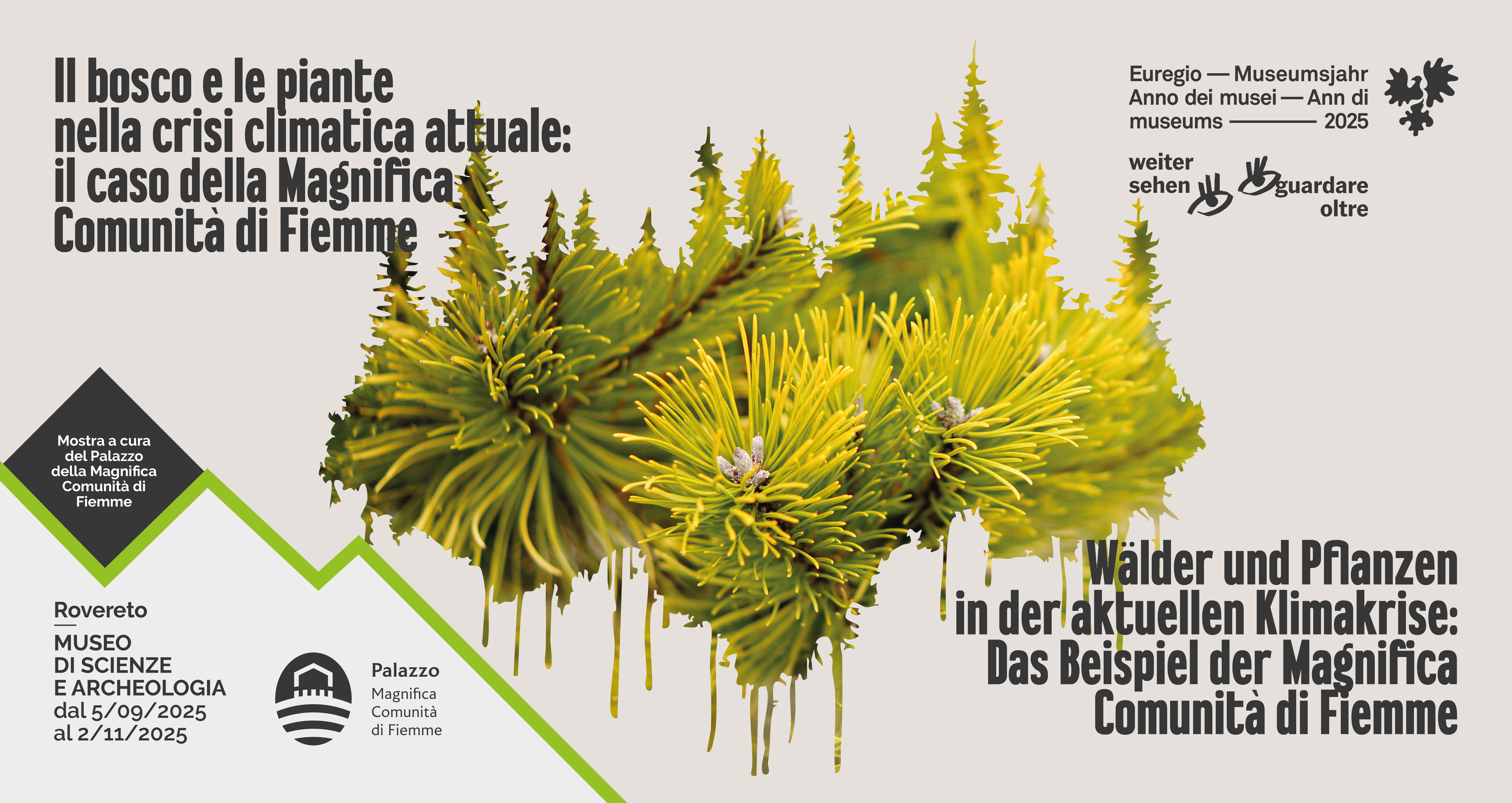 Mostra Anno Musei Euregio