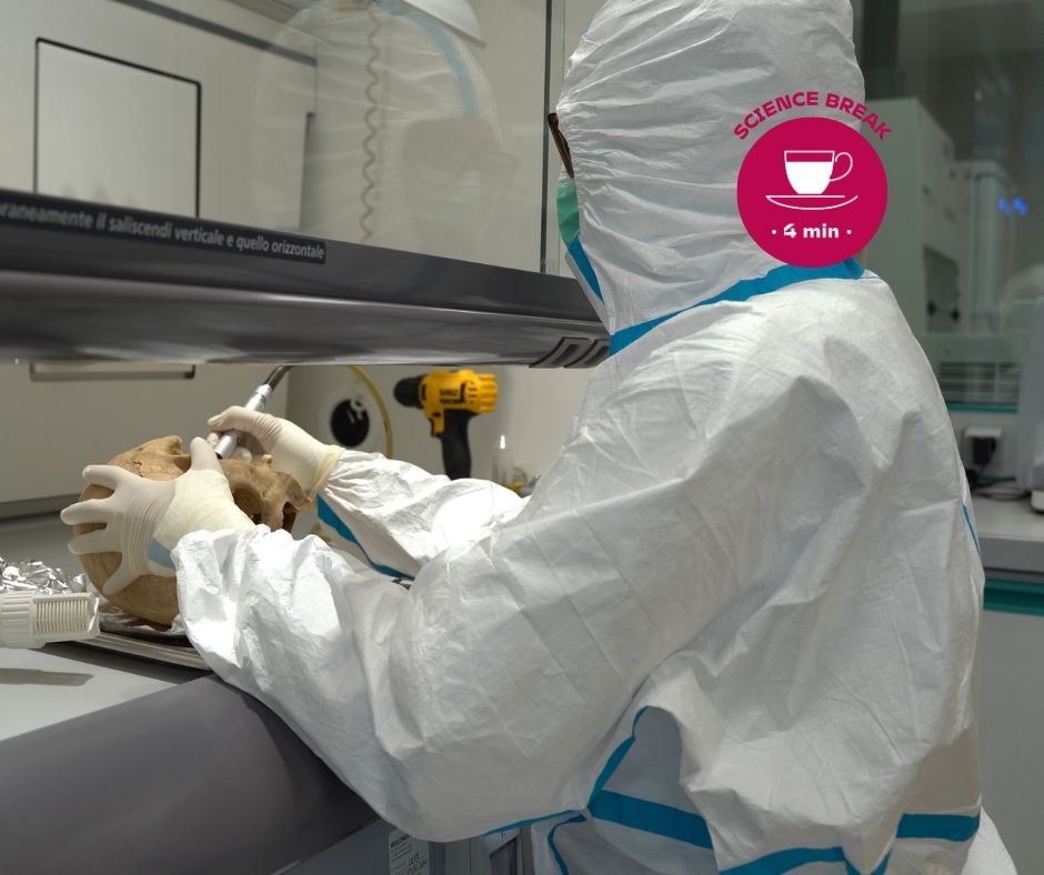 science break archeologia