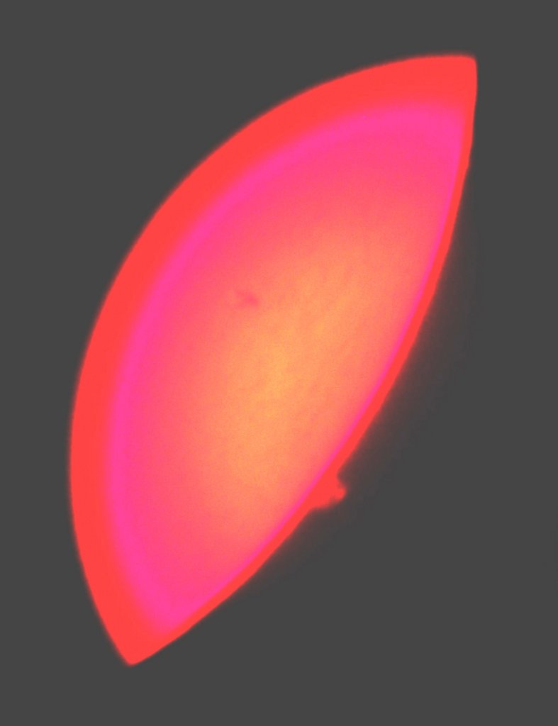 Protuberanze solari. Foto scattata nel novembre del 2004 tramite il telescopio dell'Osservatorio di Monte Zugna, munito di filtro H-alfa. (foto Ochner)