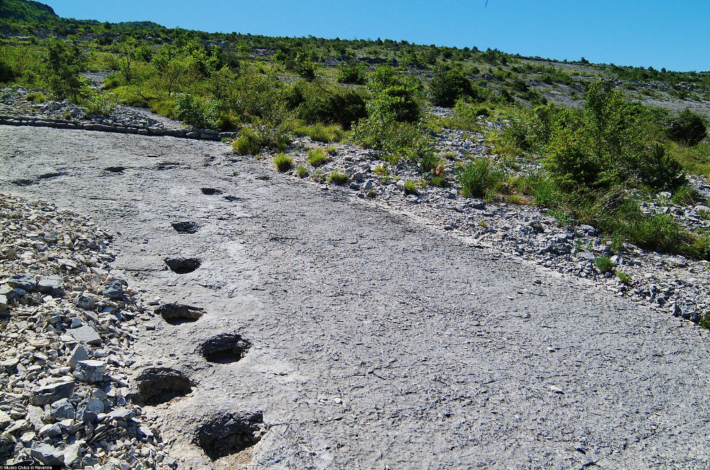 Le orme dei dinosauri ai Lavini di Marco (Archivio Fondazione Museo Civico di Rovereto / foto Giulio Malfer)
