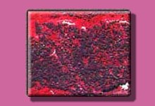 TELERILEVAMENTO - Rovereto 1996bis