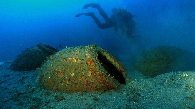 Immagine Rassegna 63