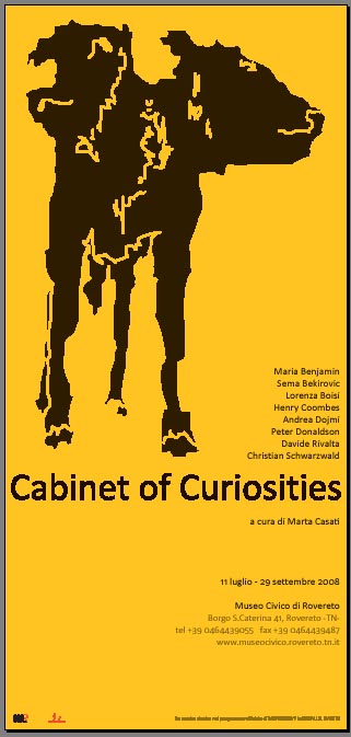 Manifesta7 - Cabinet of Curiosities - locandina