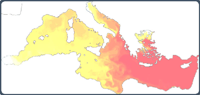 Workshop in Geofisica 2010